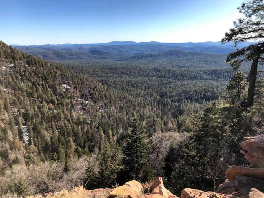 Forest Cabin 1 Hunters Blind Payson Exterior foto